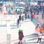 icon2015-field2