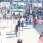 icon2015-field4